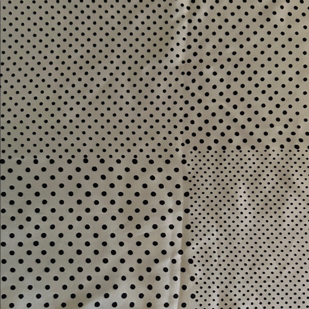 Vera Neuman Black and White Polka Dot Scarf - Picture 5 of 8